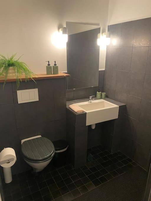 Appartement Richard Antwerpen